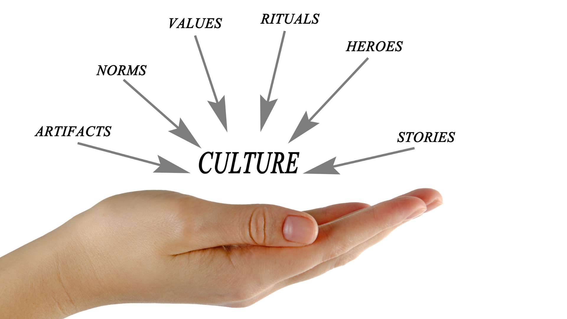 agenda culturala daniela meitescu